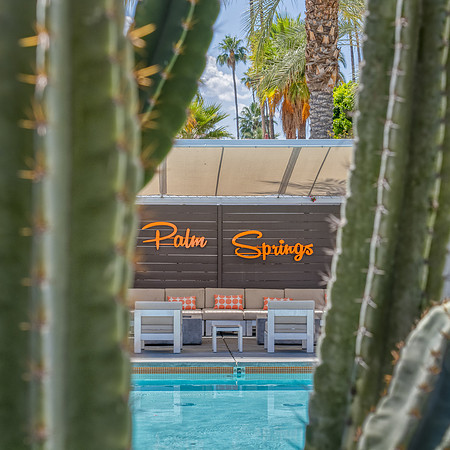 Palm Springs Pool