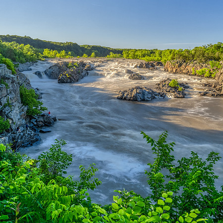 Great Falls High #1